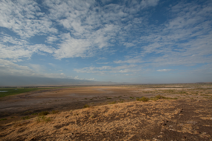 Amboseli Kenya