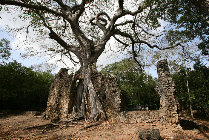 Gede Kenya