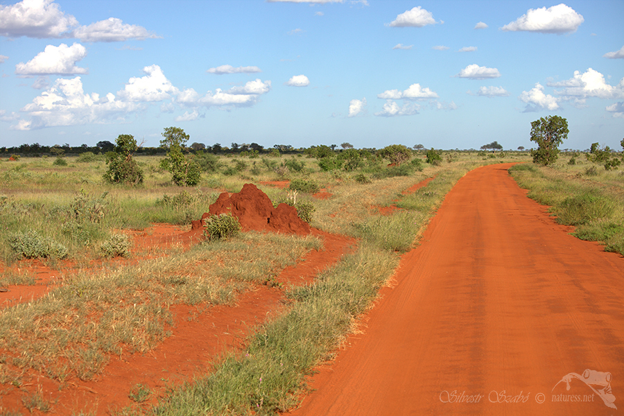 Národní park Tsavo východ -Tsavo East 