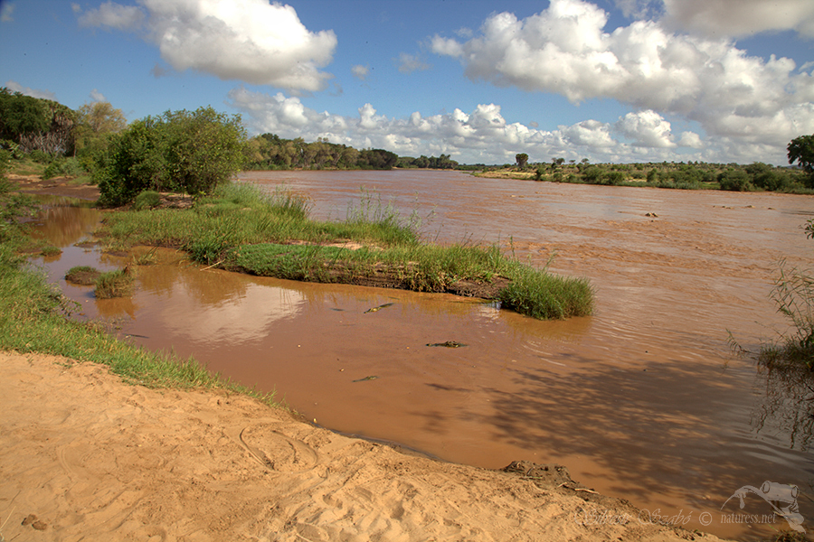 Národní park Tsavo východ -Tsavo East 